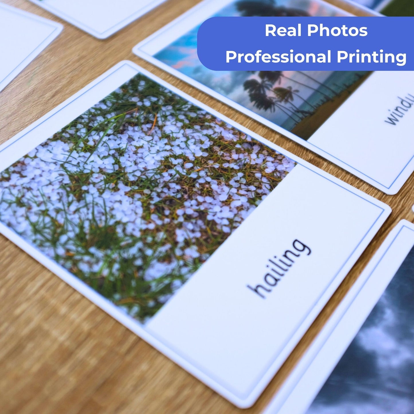 Weather Montessori 3 Part Cards Nomenclature - 12 Sets