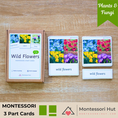 Wild Flowers Montessori 3 Part Cards - Handmade Premium Quality - Nomenclature Cards - 12 Sets