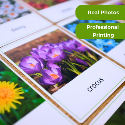 Wild Flowers Montessori 3 Part Cards - Handmade Premium Quality - Nomenclature Cards - 12 Sets
