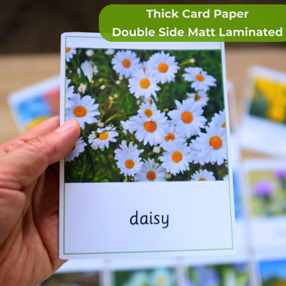 Wild Flowers Montessori 3 Part Cards - Handmade Premium Quality - Nomenclature Cards - 12 Sets