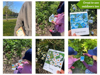 Wild flower cards used outdoors to identify real flowers