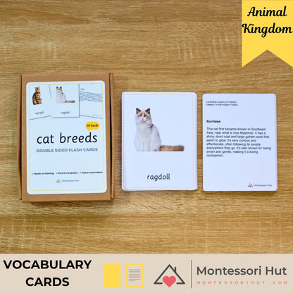 20 Cat Breeds Handmade Premium Vocabulary Cards with Facts - Educational Language Activity for Forest School, Montessori and Homeschools