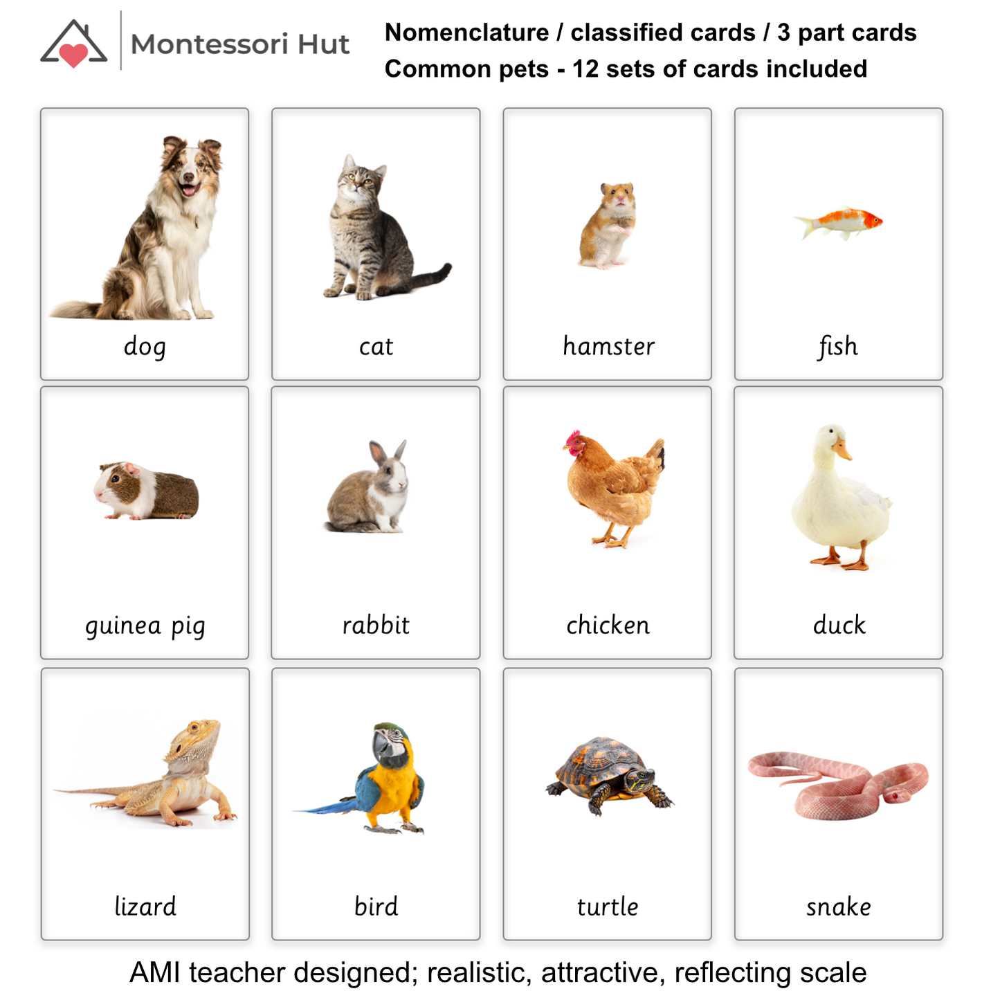 Montessori Classified Cards, 3 Part Language Cards - 12 Common Pets, Animals - for Language Enrichment - Nomenclature Cards - DIGITAL DOWNLOAD