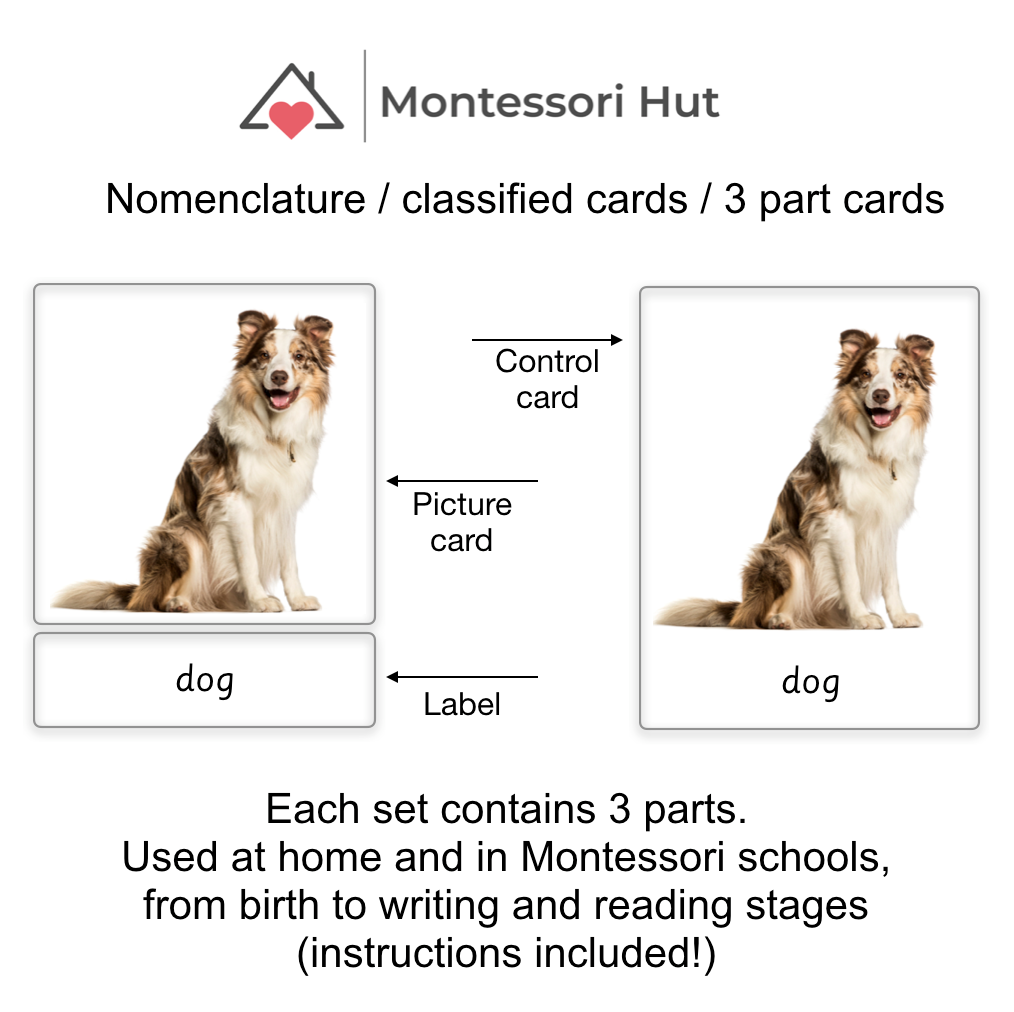 Montessori Classified Cards, 3 Part Language Cards - 12 Common Pets, Animals - for Language Enrichment - Nomenclature Cards - DIGITAL DOWNLOAD