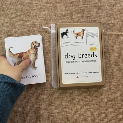 24 Dog Breeds Handmade Premium Vocabulary Cards with Facts - Educational Language Activity for Forest School, Montessori and Homeschools