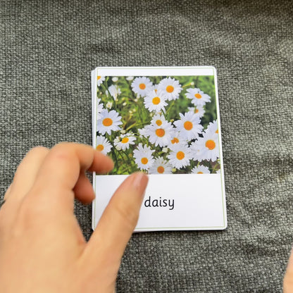 Wild Flowers Montessori Cards – 24 Flowers with Facts