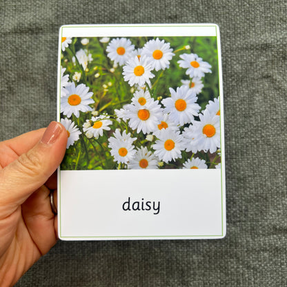 Hand holding the daisy card